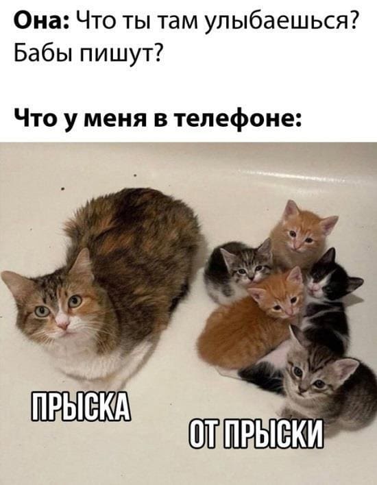 Она: Что ты там улыбаешься? Бабы пишут?
Что у меня в телефоне:
*Прыска* *От Прыски*