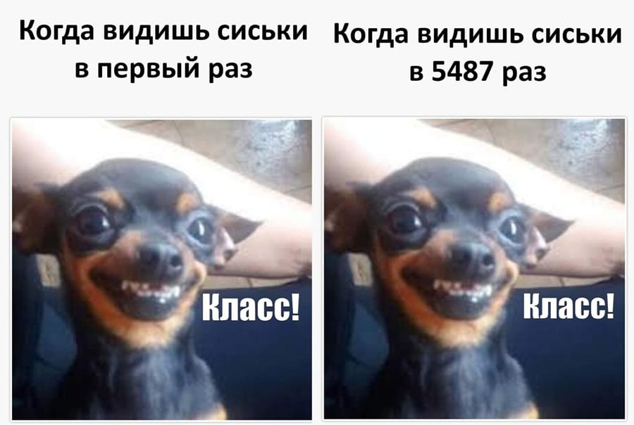 *Когда видишь сиськи в первый раз*
*Когда видишь сиськи в 5487 раз*