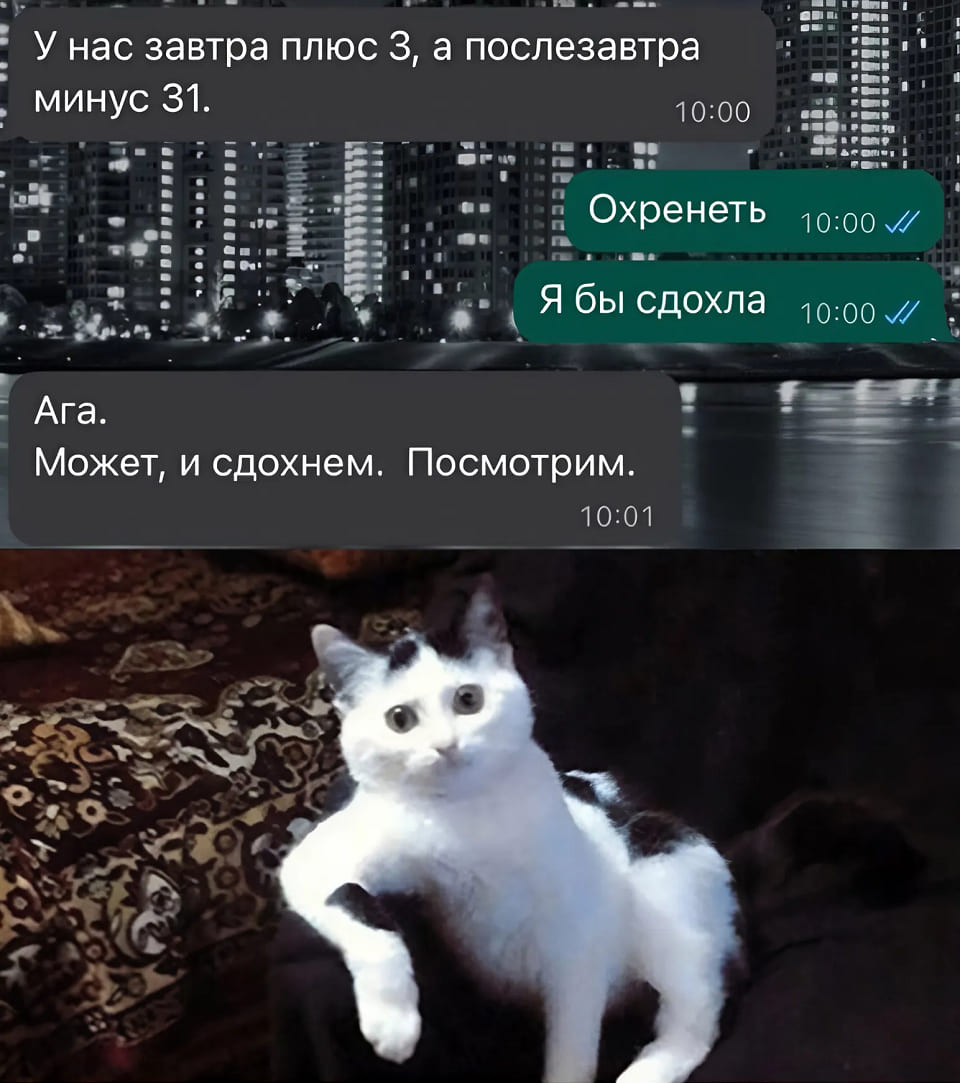 – У нас завтра плюс 3, а послезавтра минус 31.
– Ага. Охренеть. Я бы сдохла.
– Может, и сдохнем. Посмотрим.