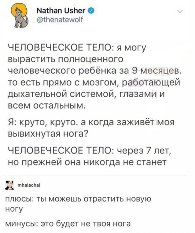 ЧЕЛОВЕЧЕСКОЕ ТЕЛО: я могу вырастить полноценного человеческого ребёнка за 9 месяцев, то есть прямо с мозгом, работающей дыхательной системой, глазами и всем остальным.
Я: круто, круто, а когда заживёт моя вывихнутая нога?
ЧЕЛОВЕЧЕСКОЕ ТЕЛО: через 7 лет, но прежней она никогда не станет.
Плюсы: ты можешь отрастить новую ногу.
Минусы: это будет не твоя нога.