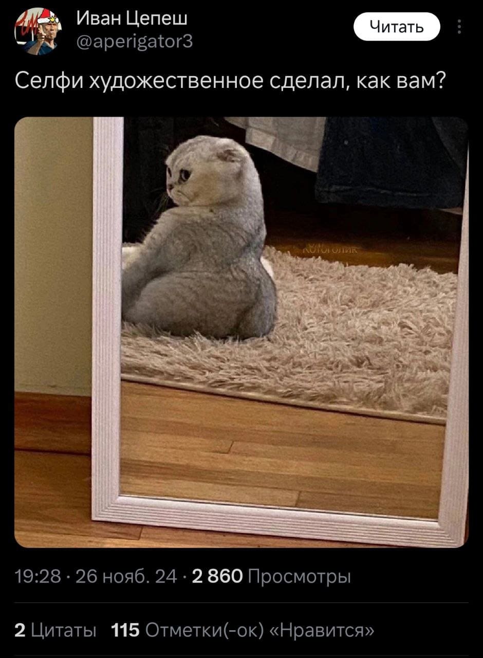 *Селфи художественное сделал, как вам?*