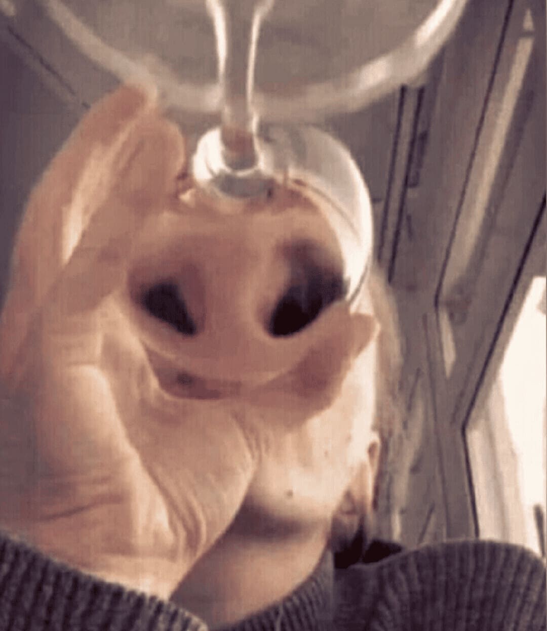 *Сделай мне красивую фотку с бокалом вина!*