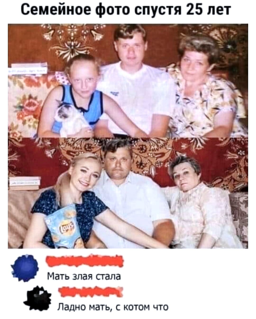 *Семейное фото спустя 25 лет*
– Мать злая стала.
– Ладно мать, с котом что.
