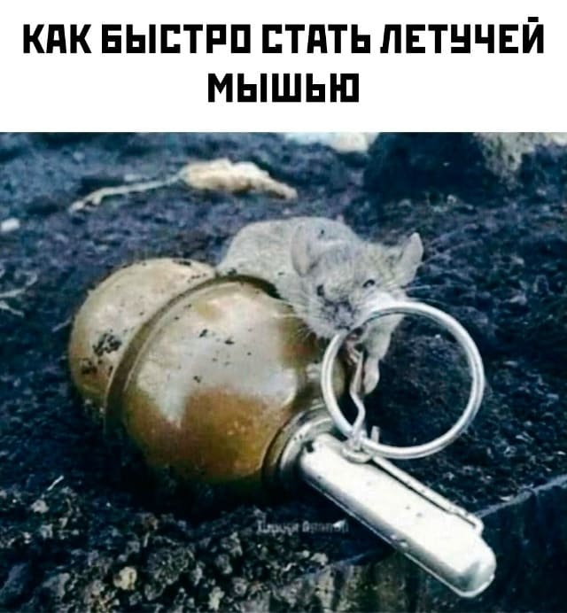 *Как быстро стать летучей мышью*