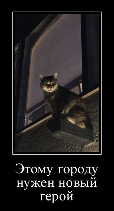 *Этому городу нужен новый герой*