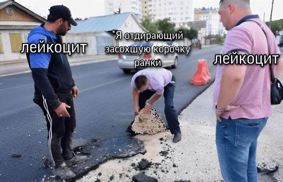 *Лейкоцит и я отдирающий засохшую корочку ранки*