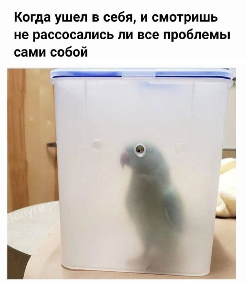 *Когда ушёл в себя, и смотришь не рассосались ли все проблемы сами собой*