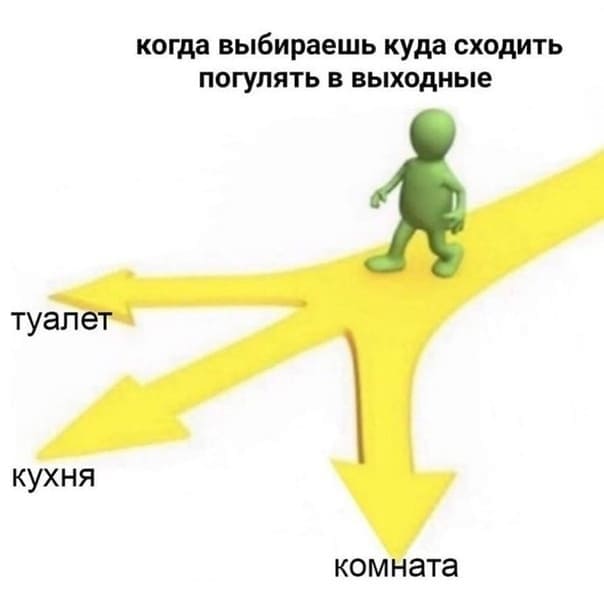 *Когда выбираешь куда сходить погулять в выходные*
*Туалет – Кухня – Комната*