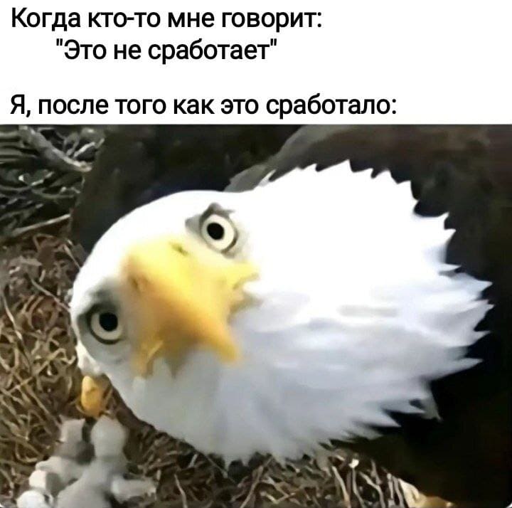 Когда кто-то мне говорит: «Это не сработает»
*Я, после того как это сработало*