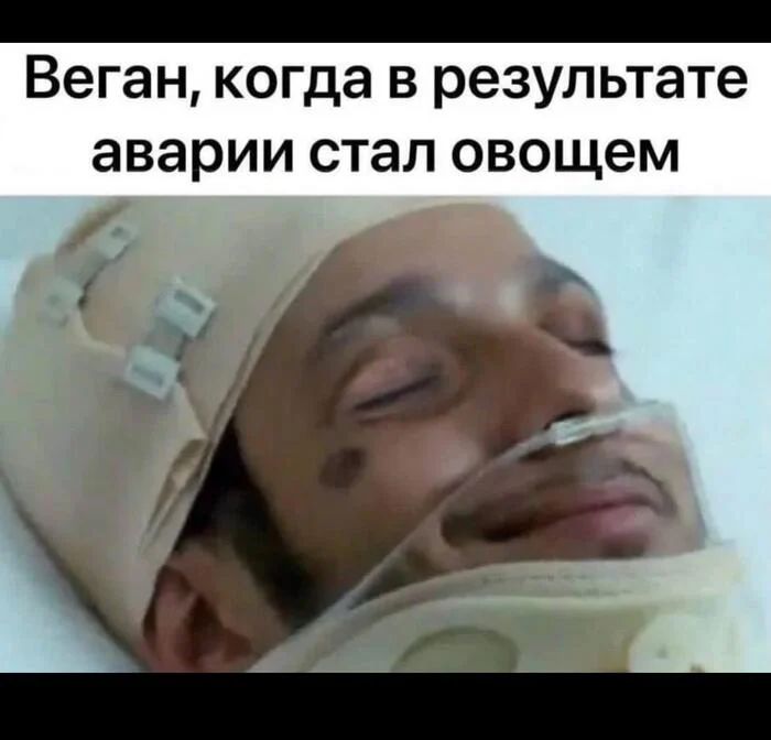 *Веган когда в результате аварии стал овощем*