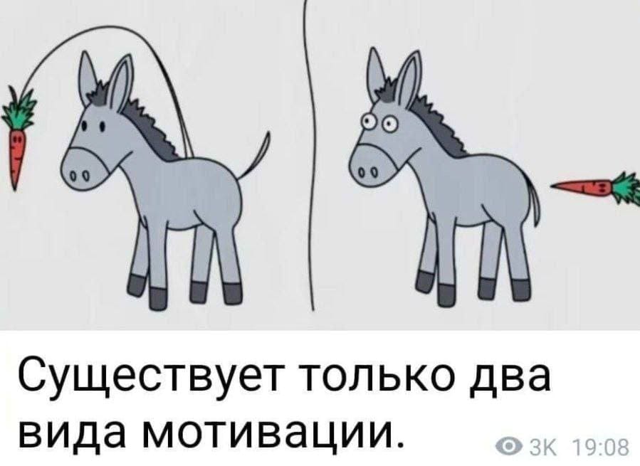 *Существует два вида мотивации*