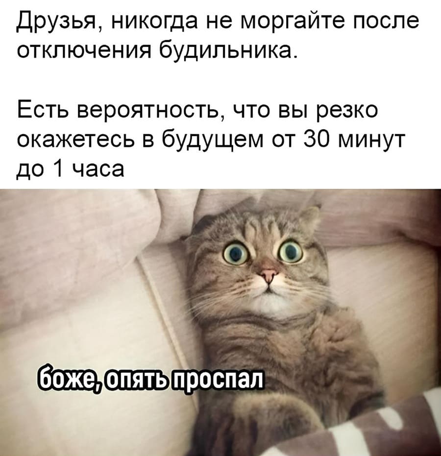 Друзья, никогда не моргайте после отключения будильника. Есть вероятность, что вы резко окажетесь в будущем от 30 минут до 1 часа.
*О, Господи, опять проспал!*