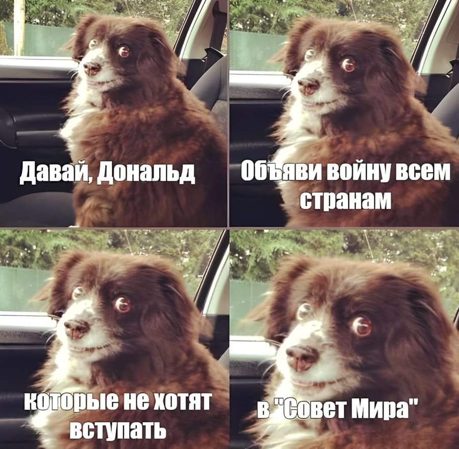 — Давай, Дональд, объяви войну всем странам, которые не хотят вступать в «Совет Мира»