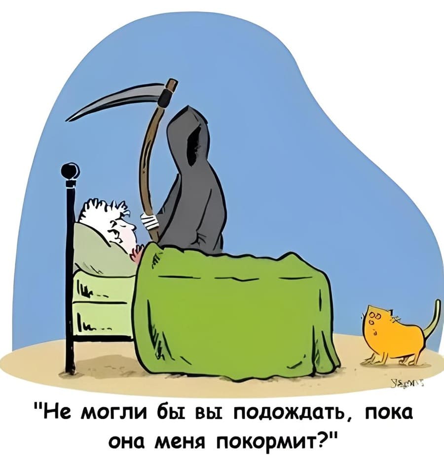 Котик обращается к пришедшей к его пожилой хозяйке Смерти:
– Извините, нe могли бы вы подождать, пока она меня покормит?