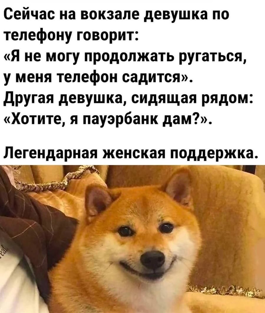 Сейчас на вокзале девушка по телефону говорит: «Я не могу продолжать ругаться, у меня телефон садится».
Другая девушка, сидящая рядом: «Хотите, я пауэрбанк дам?».
Легендарная женская поддержка.