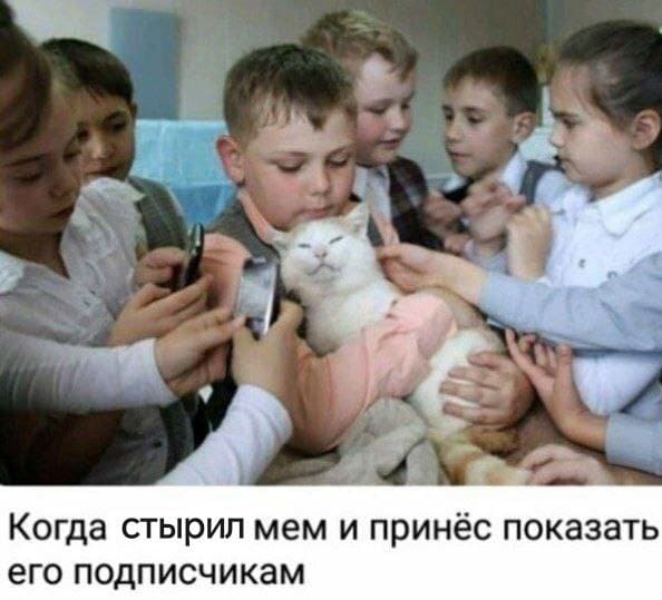 Когда стырил мем и принёс показать его подписчикам.