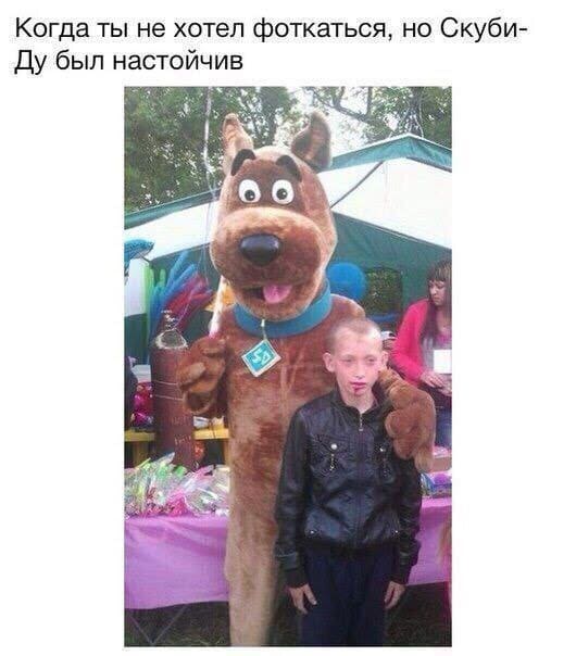*Когда ты не хотел фоткаться, но Скуби-Ду был настойчив*