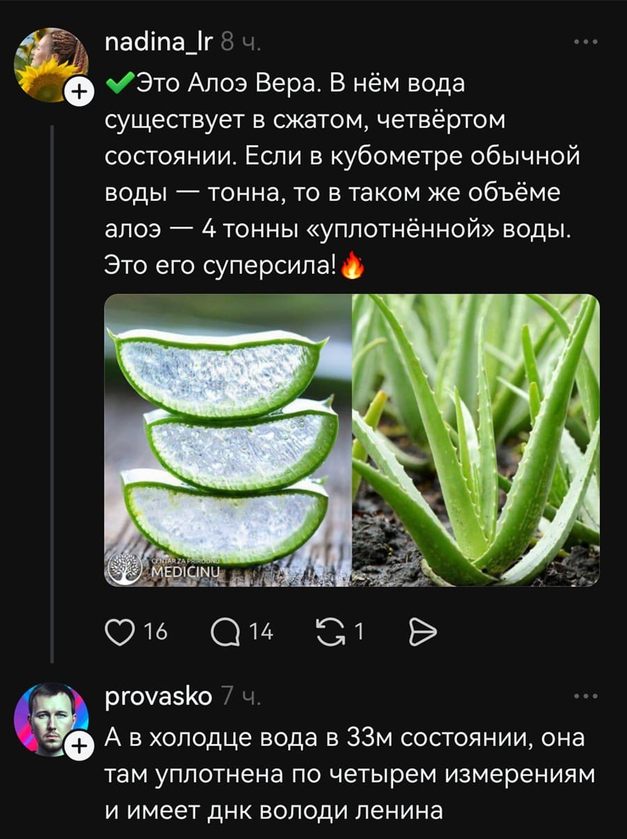 – Это Алоэ Вера. В нём вода существует в сжатом, четвёртом состоянии. Если в кубометре обычной воды — тонна, то в таком же объёме алоэ — 4 тонны «уплотнённой» воды. Это его суперсила!
– А в холодце вода в 33м состоянии, она там уплотнена по четырем измерениям и имеет ДНК Володи Ленина.
