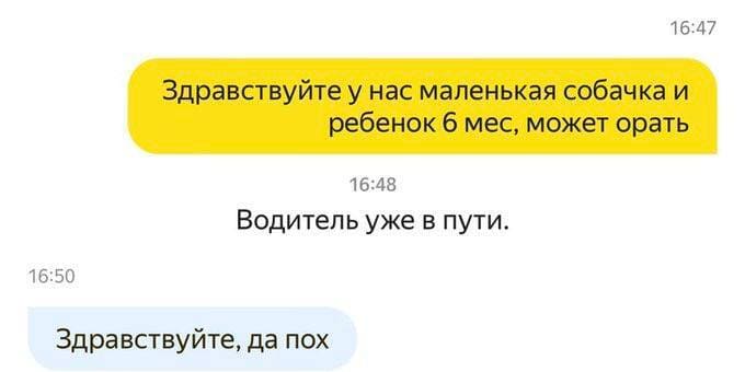 – Здравствуйте у нас маленькая собачка и ребенок б мес, может орать.
*Водитель уже в пути.*
– Здравствуйте, да пох.