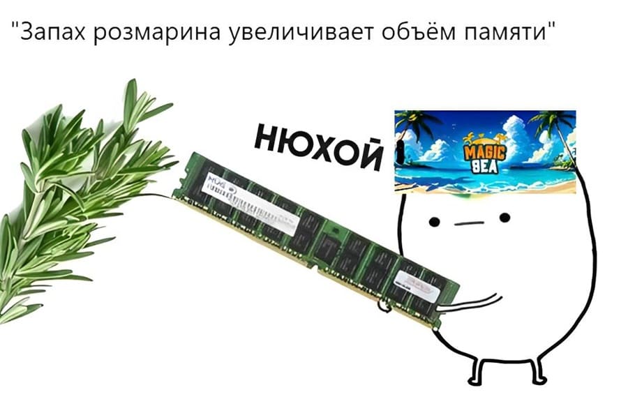 «Запах розмарина увеличивает объём памяти»