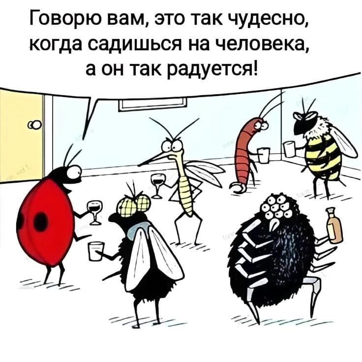 Говорю вам, это так чудесно, когда садишься на человека, а он так радуется!