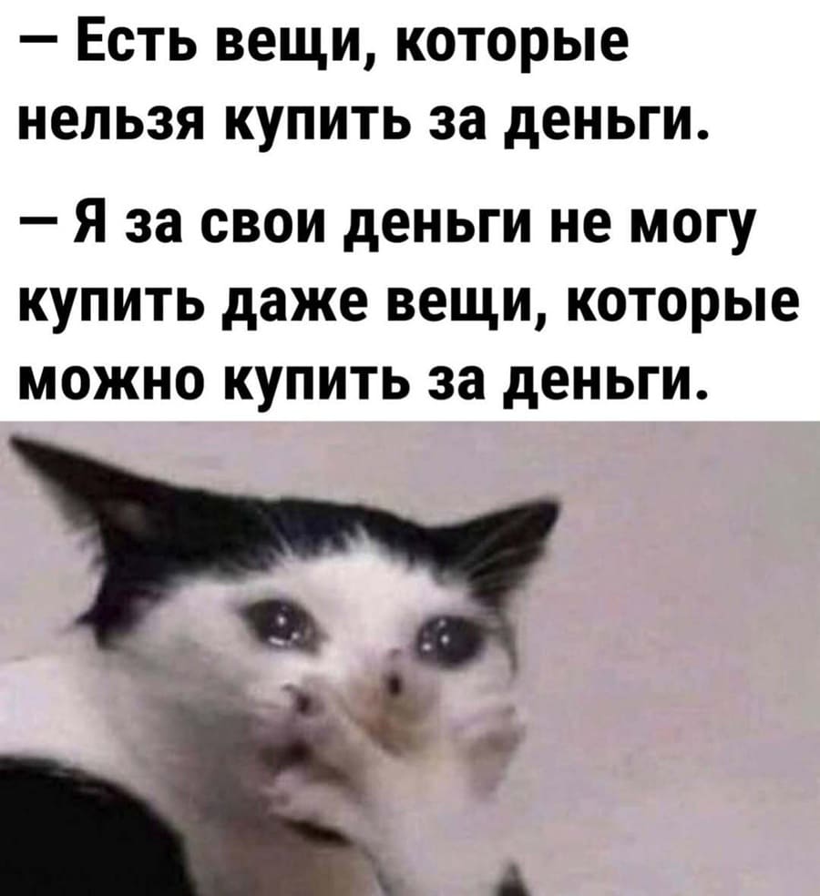 – Есть вещи, которые нельзя купить за деньги.
– Я за свои деньги не могу купить даже вещи, которые можно купить за деньги.