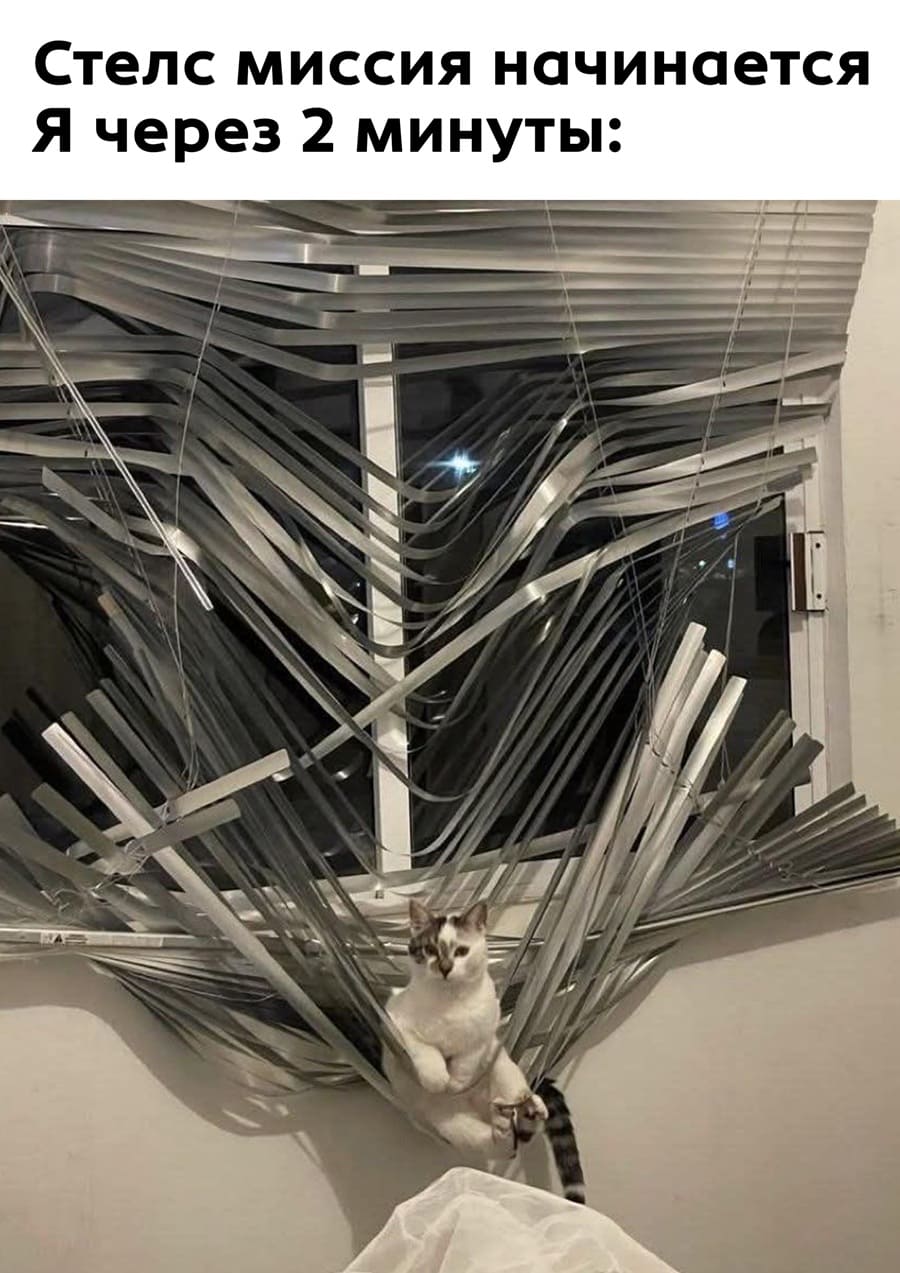 *Стелс миссия начинается*
Я через 2 минуты: