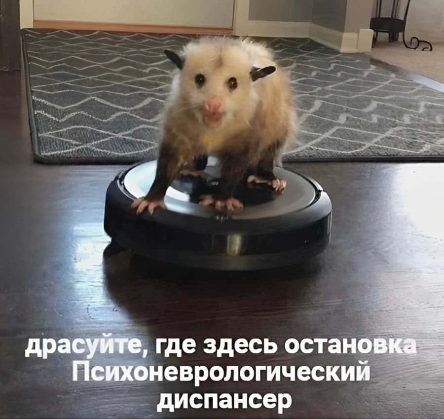 Драсуйте, где здесь остановка Психоневрологический диспансер?