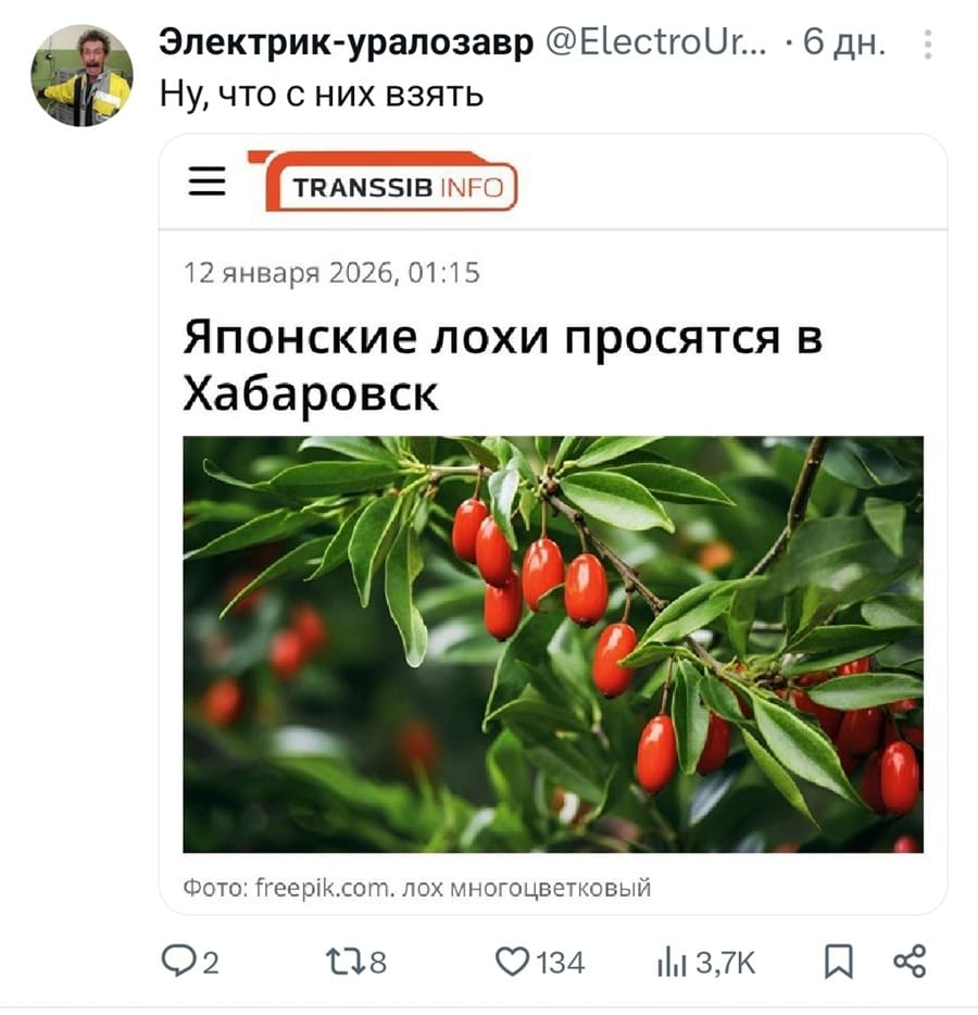 Из новостей: Японские лохи просятся в Хабаровск.
Комментарии:
– Ну, что с них взять.
*Лох многоцветковый*