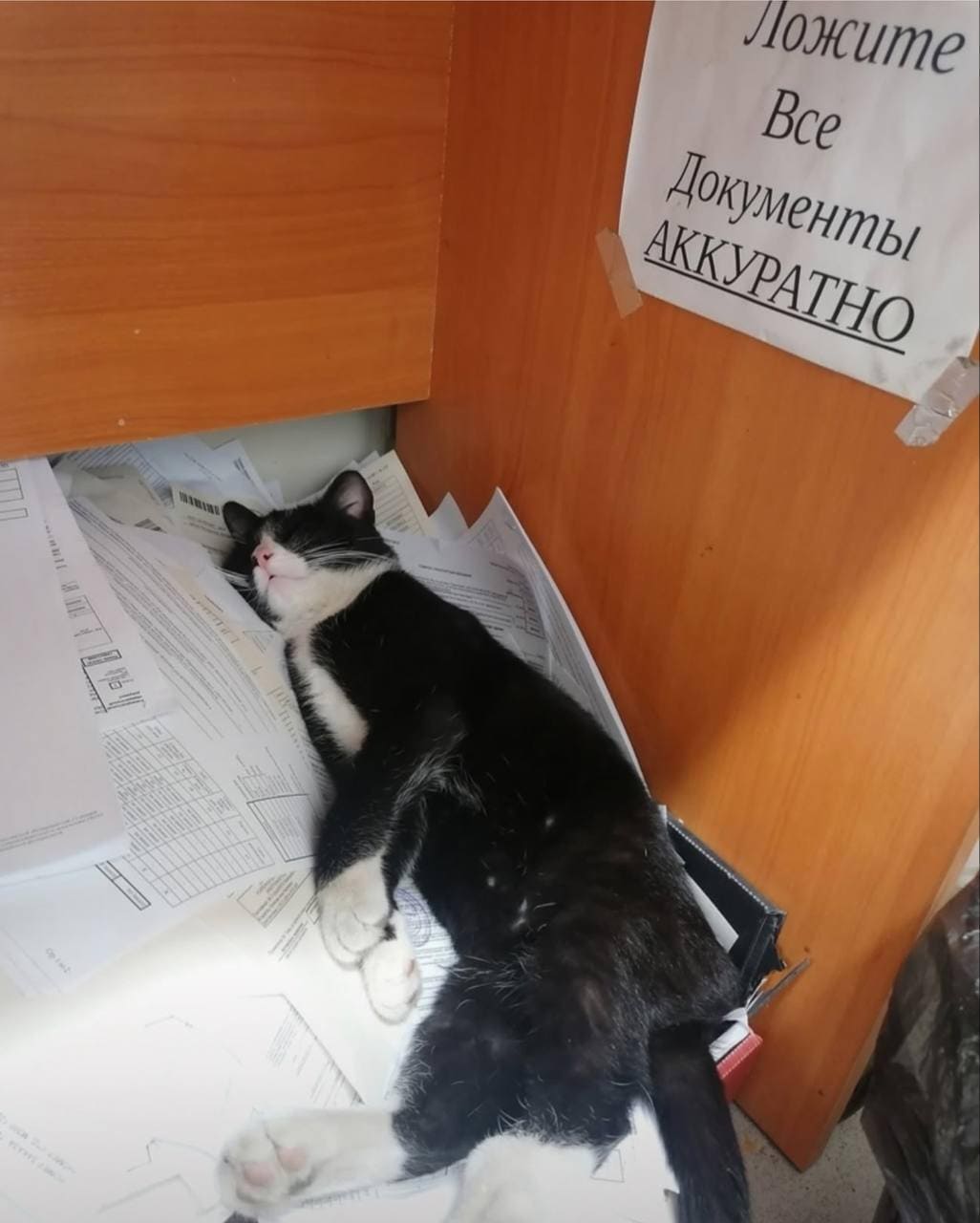 *Ложите все документы аккуратно*