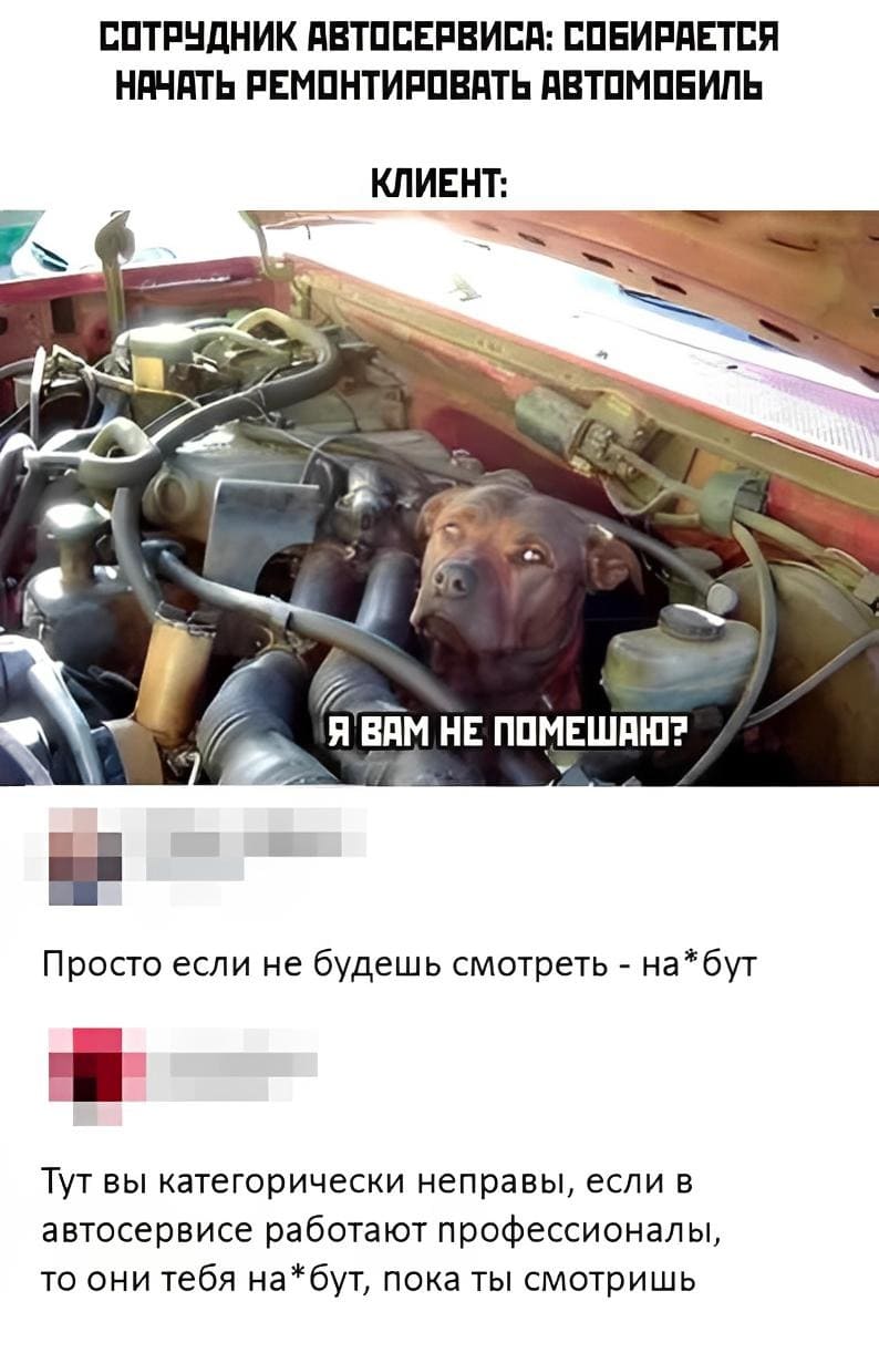 СОТРУДНИК АВТОСЕРВИСА: СОБИРАЕТСЯ НАЧАТЬ РЕМОНТИРОВАТЬ АВТОМОБИЛЬ.
КЛИЕНТ: Я ВАМ НЕ ПОМЕШАЮ?
– Просто если не будешь смотреть – на*бут.
– Тут вы категорически неправы, если в автосервисе работают профессионалы, то они тебя на*бут, пока ты смотришь.