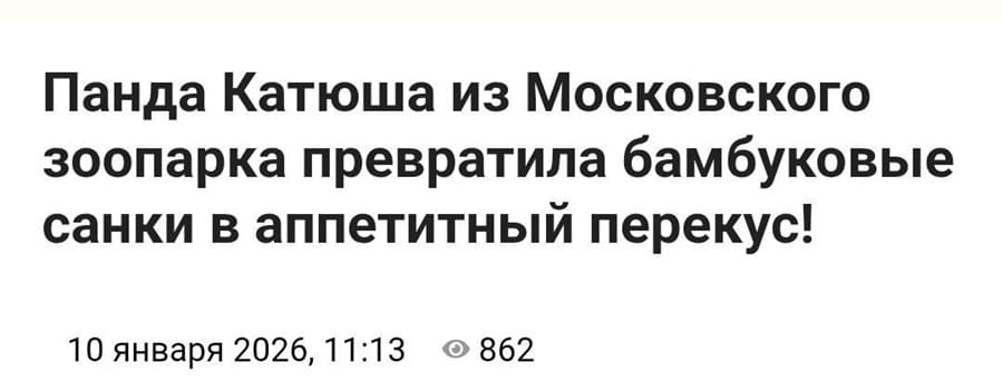 Из Новостей: Панда Катюша из Московского зоопарка превратила бамбуковые санки в аппетитный перекус!
10 января 2026, 11:13