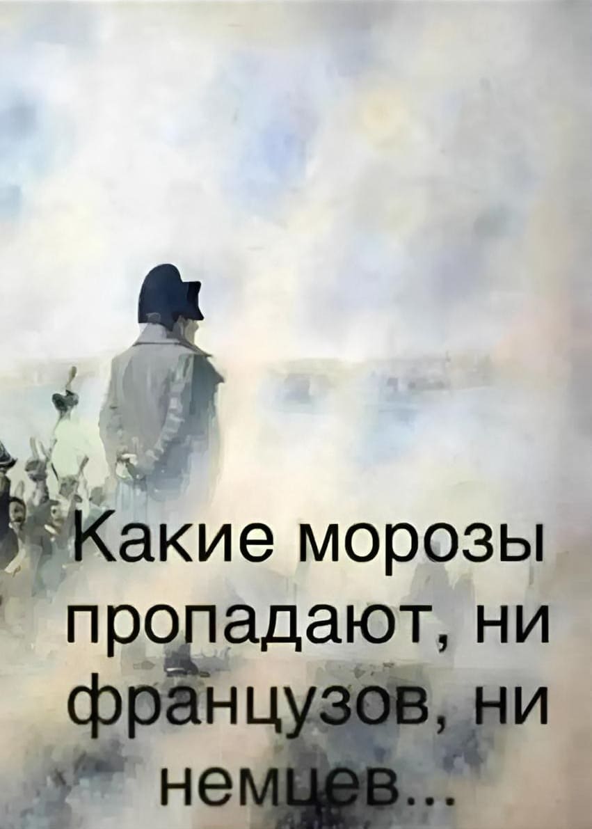 Такие морозы прогадают, ни французов, ни немцев...