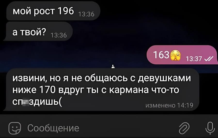 – Мой рост 196, а твой?
– 163.
– Извини, но я не общаюсь с девушками ниже 170 вдруг ты с кармана что-то сп*здишь.
