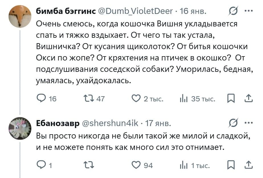 – Очень смеюсь, когда кошочка Вишня укладывается спать и тяжко вздыхает. От чего ты так устала, Вишничка? От кусания щиколоток? От битья кошочки Окси по жопе? От кряхтения на птичек в окошко? От подслушивания соседской собаки? Уморилась, бедная, умаялась, ухайдокалась.
– Вы просто никогда не были такой же милой и сладкой, и не можете понять как много сил это отнимает.