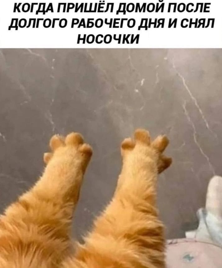 *Когда пришёл домой после долгого рабочего дня и снял носочки*
