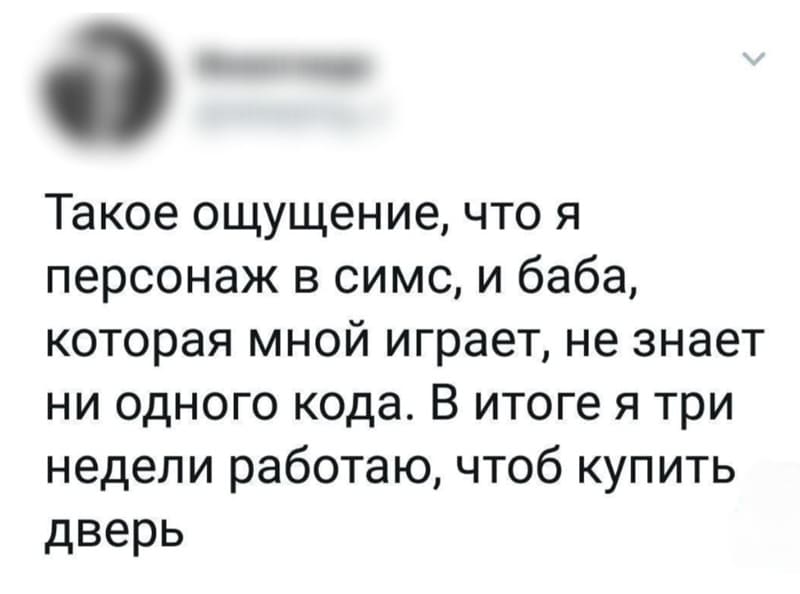 Такое чувство, будто я персонаж в игры Sims, и баба, что мной играет, вообще не знает ни одного чит-кода. В итоге я три недели работаю, чтоб купить дверь.