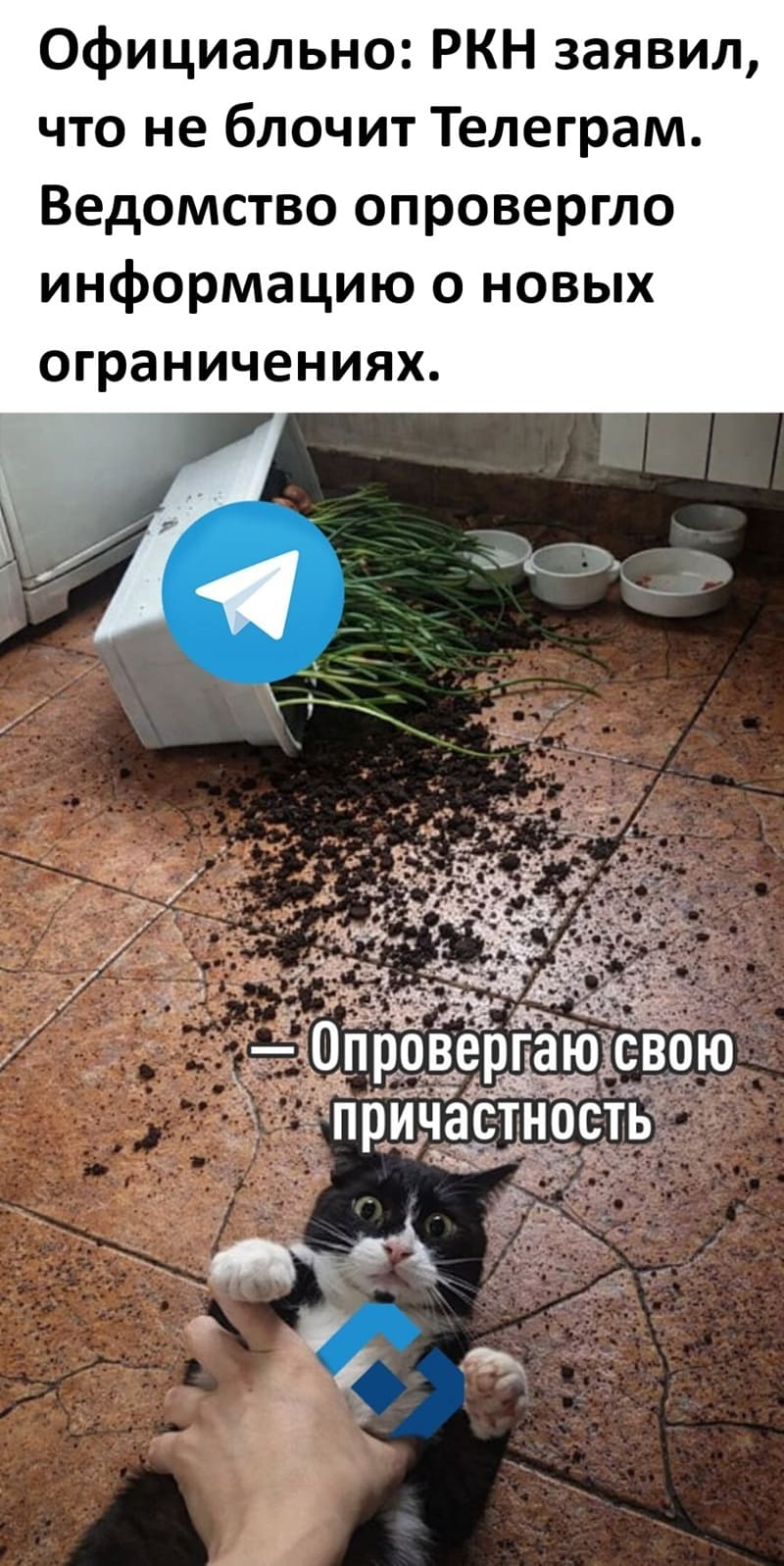 Официально: РКН заявил, что не блочит Телеграм. Ведомство опровергло информацию о новых ограничениях.