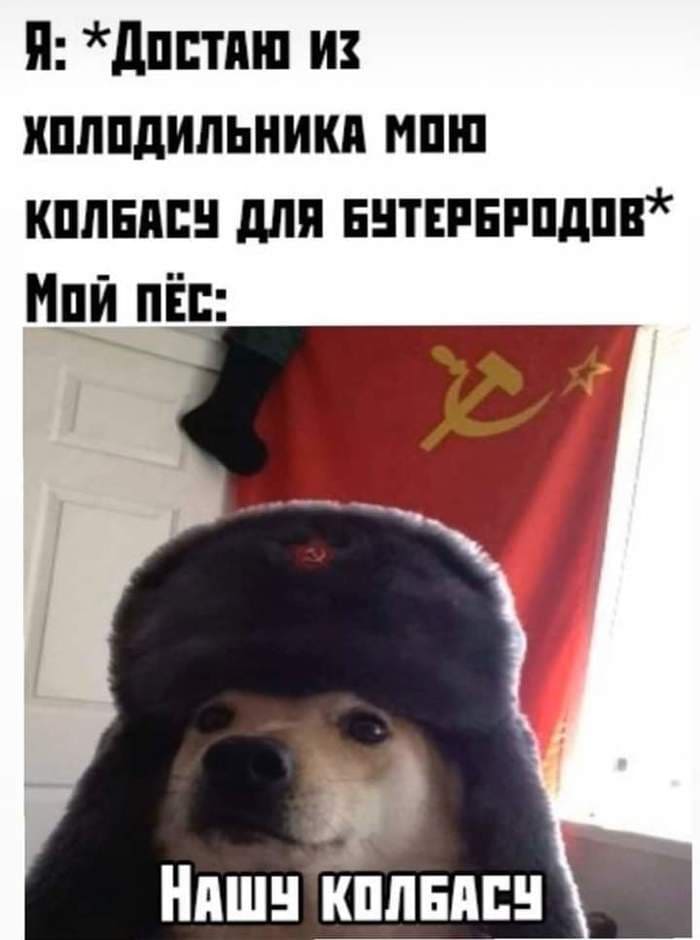 Я: *Достаю из холодильника мою колбасу для бутербродов*
Моё пёс: Нашу колбасу!