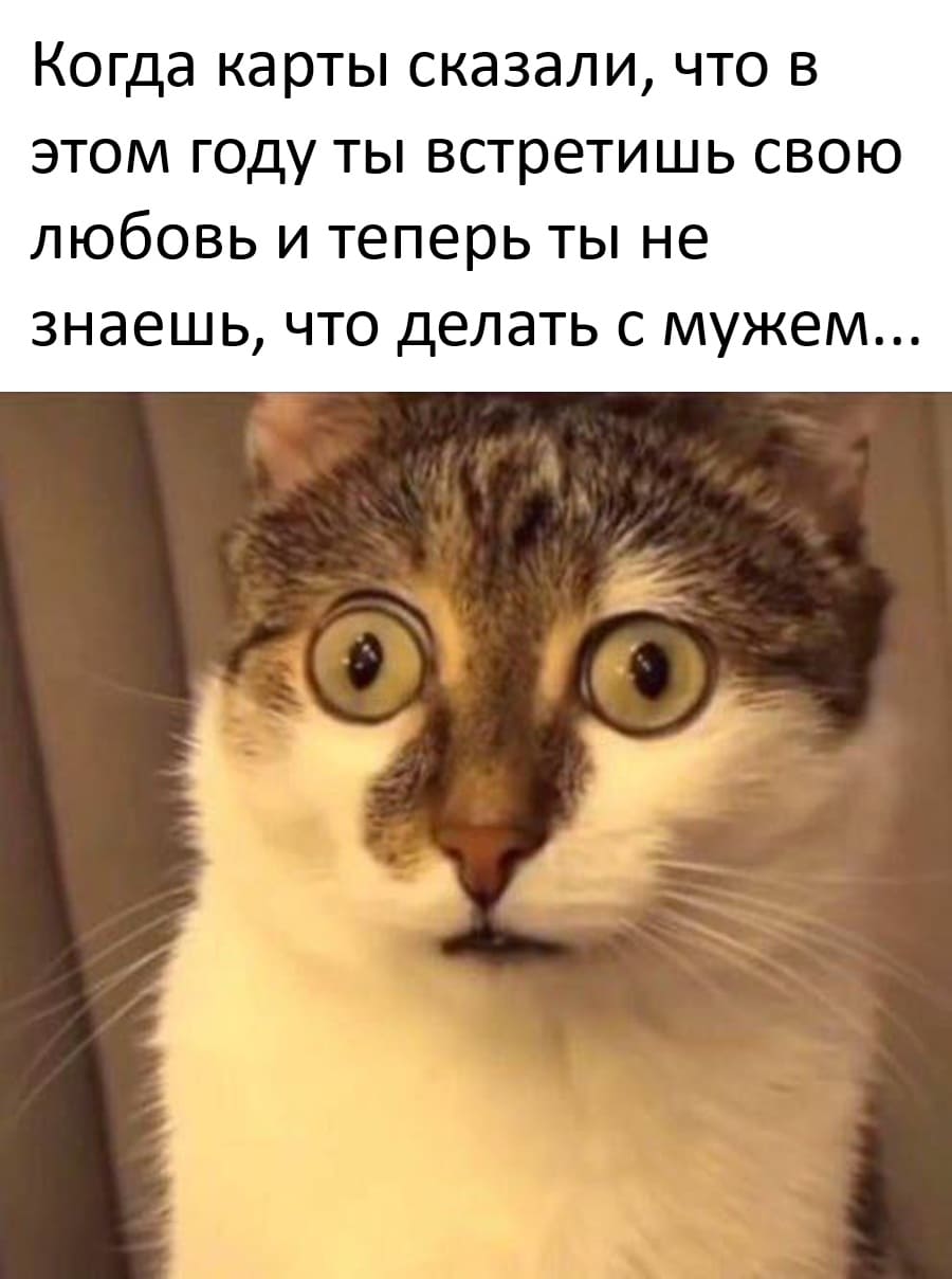 Когда карты сказали, что в этом году ты встретишь свою любовь и теперь ты не знаешь, что делать с мужем...