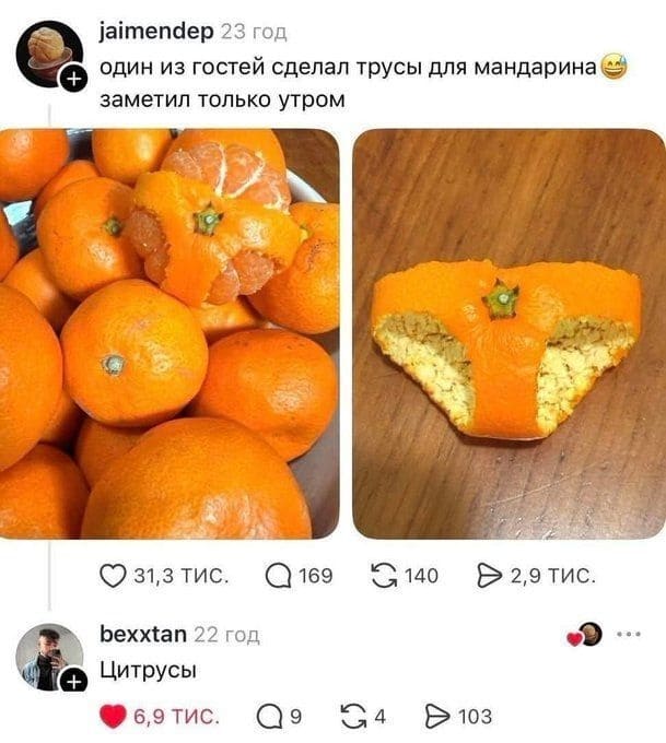 – Один из гостей сделал трусы для мандарина заметил только утром.
– Цитрусы.