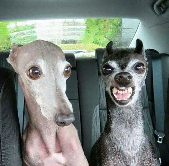 *Есть два типа друзей*