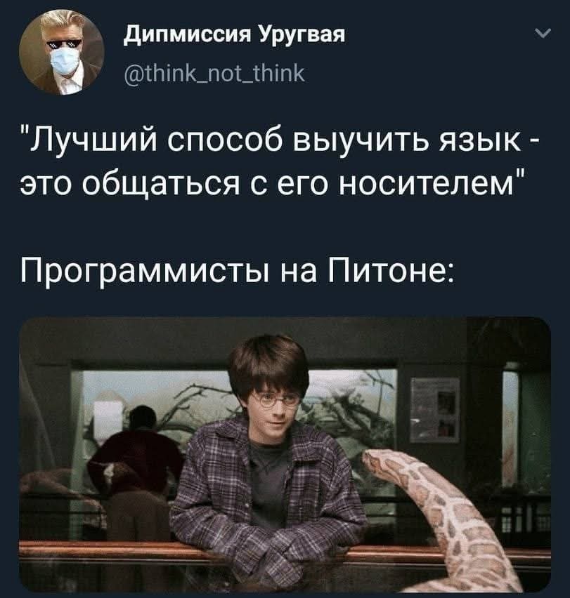 «Лучший способ выучить язык — это общаться с его носителем»
Программисты на Питоне: