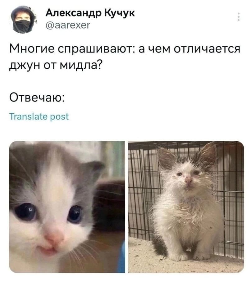 Многие спрашивают: а чем отличается джун от мидла?
Отвечаю: это джун, а это мидл.
*hehe and not hehe*