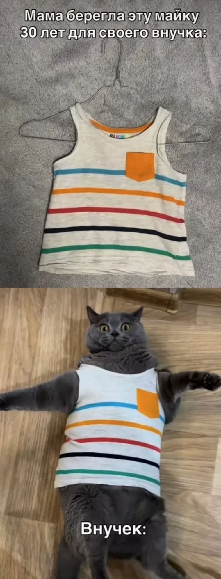 *Мама берегла эту майку 30 лет для своего внука*
*Внучок (кот)*