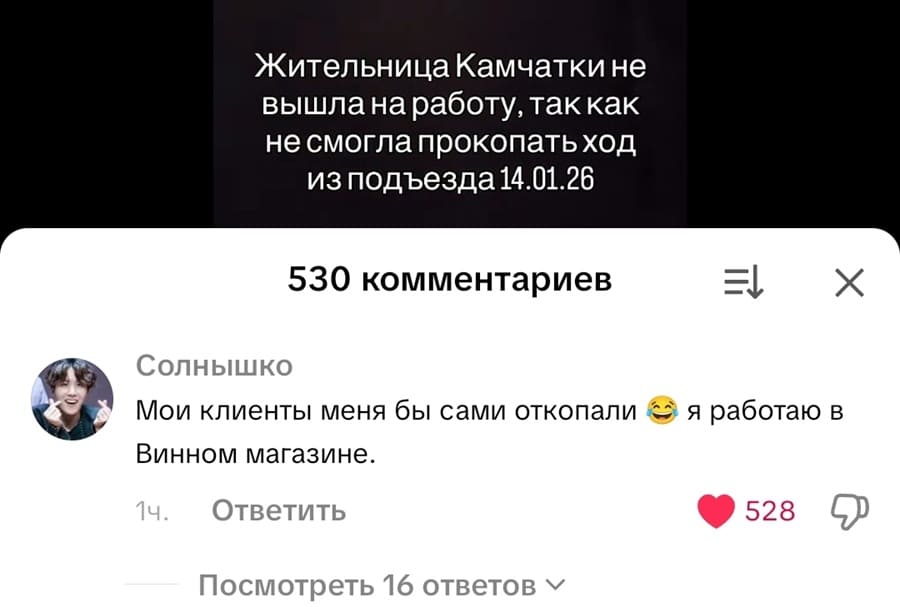 Новость: Жительница Камчатки не вышла на работу, так как не смогла прокопать ход из подъезда 14.01.26
Комментарий одного из пользователей:
– Мои клиенты меня бы сами откопали, я работаю в Винном магазине.