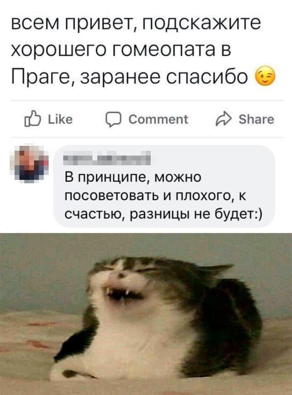 – Всем привет, подскажите хорошего гомеопата в Праге‚ заранее благодарю.
– В принципе, можно посоветовать и плохого, к счастью, разницы не будет.