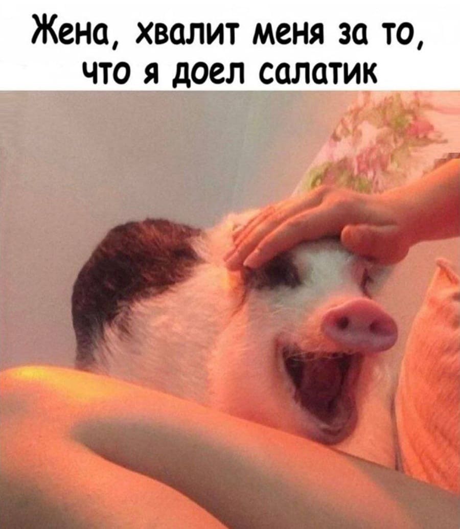 *Жена, хвалит меня за то, что я доел салатик.*
