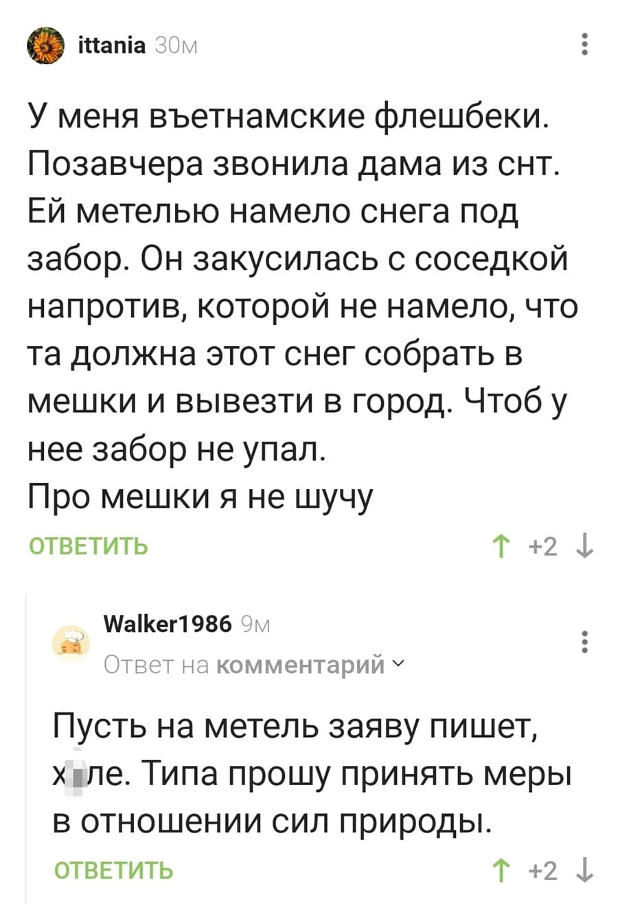– У меня вьетнамские флешбэки. Позавчера звонила дама из СНТ. Ей метелью намело снега под забор. Она закусилась с соседкой напротив, которой не намело, что та должна этот снег собрать в мешки и вывезти в город. Чтоб у нее забор не упал. Про мешки я не шучу.
– Пусть на метель заяву пишет, х*ле. Типа прошу принять меры в отношении сил природы.