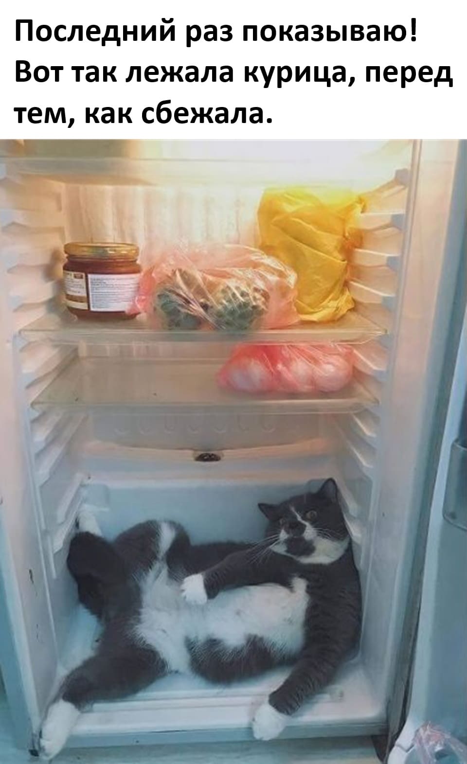 Последний раз показываю!
Вот так лежала курица, перед тем, как сбежала.